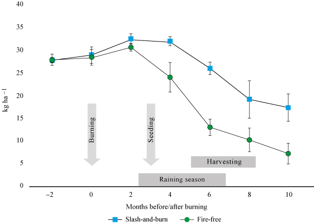 Development of soil-reserves of
plant-available P during a milpa cycle, comparing slash-and-burn farming
and a fire-free management, in kg ha-1
