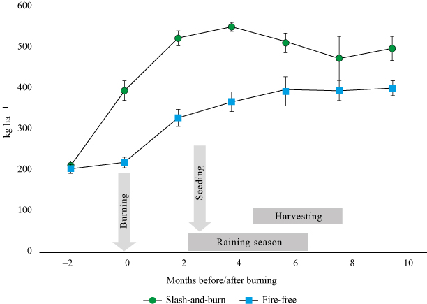 Development of soil-reserves of K during a milpa cycle, comparing
slash-and-burn farming and a fire-free management, in kg ha-1
