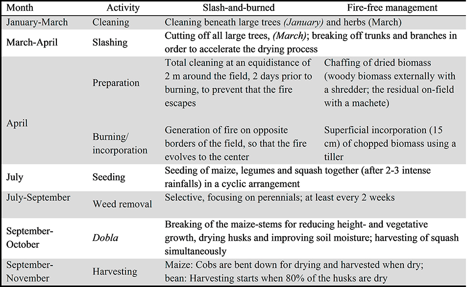 Crop management activities during the implementation of the trial in 2013