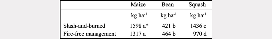 Yields of maize, squash and bean of a milpa after one cropping season during
twelve weeks of harvesting, comparing slash-and-burn-farming and a fire-free
management.