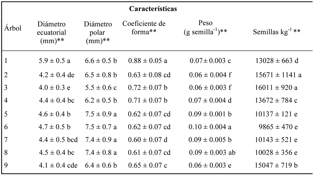 Tamaño,
  forma y cantidad de semillas de árboles seleccionados de Bursera glabrifolia Kunth