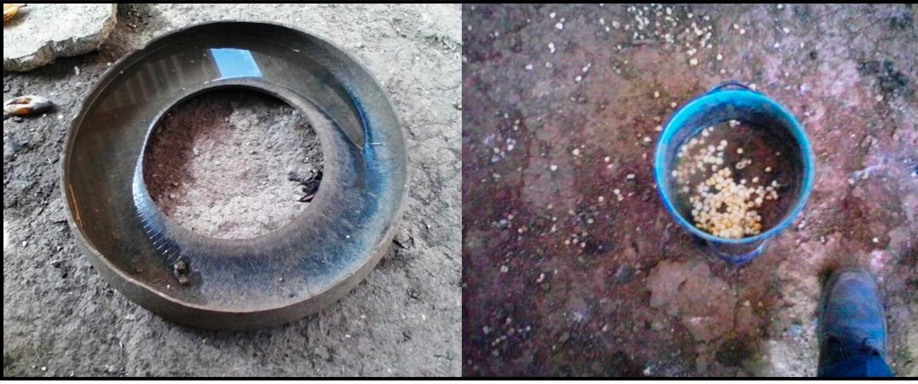 Uso de llantas
y recipientes desechados para proporcionar agua y alimentos