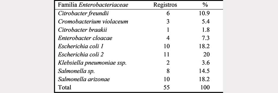 Géneros
y especies identificados de la familia Enterobacteriaceae
