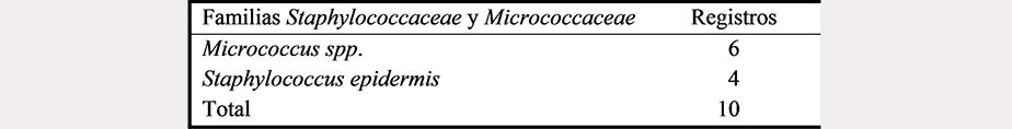 Tipos de bacterias de
la familias Micrococcaceae y Staphylococcaceae identificadas en
muestras de aves de “La Pera”