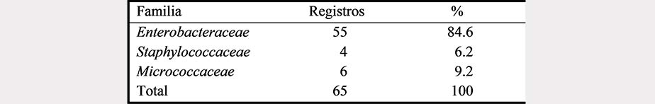 Presencia de los grandes grupos de bacterias
identificados en el muestreo