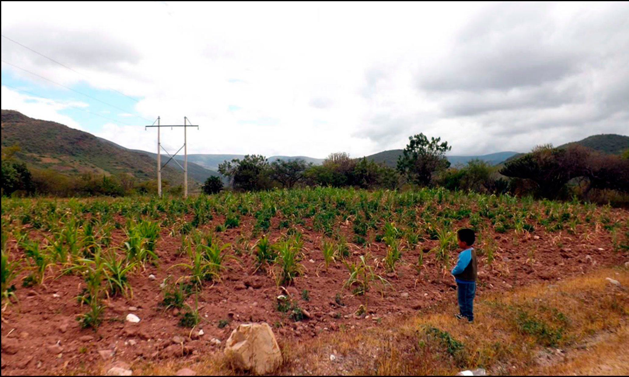 El suelo: el gran proveedor de alimento y
la esperanza del futuro