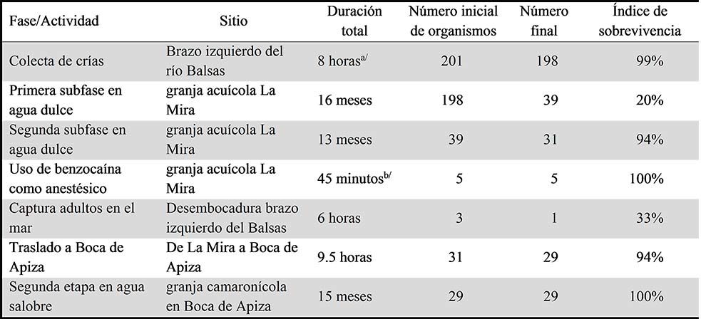 Índices de
sobrevivencia obtenidos en las distintas fases del estudio