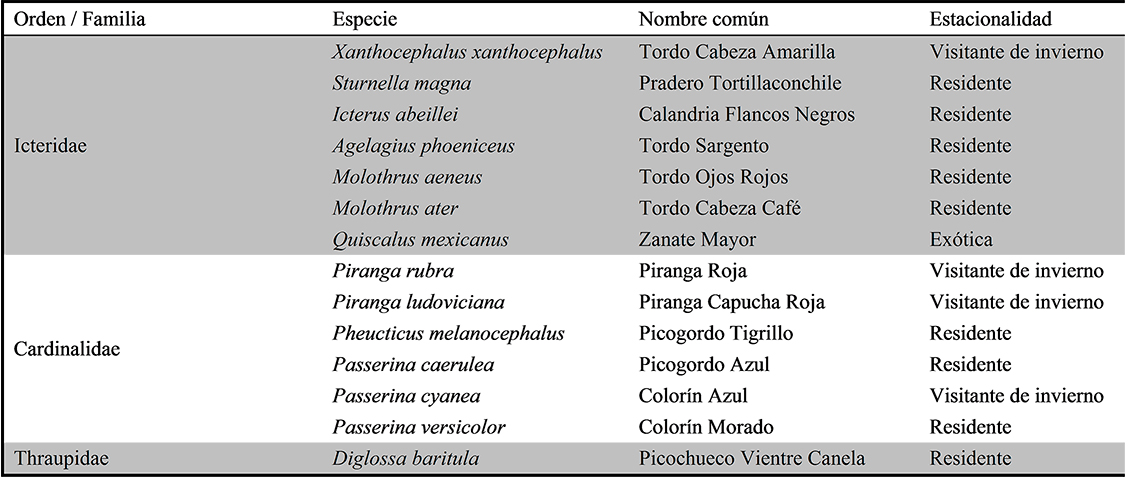 Lista de las aves registradas en el campus El Cerrillo de la Universidad
Autónoma del Estado de México (continúa)
