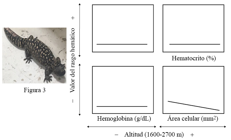 Valores hemáticos observados en Heloderma horridum