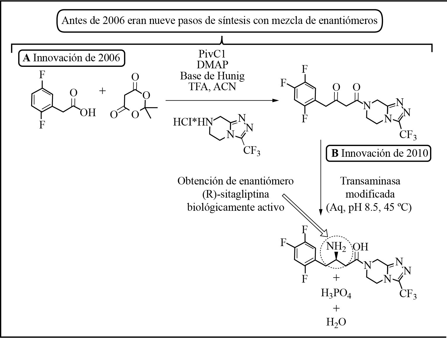 Diagrama de la nueva ruta de síntesis de la
sitagliptina