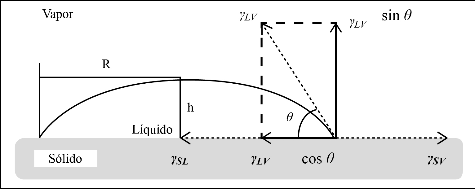 Tensión interfacial en las tres fases