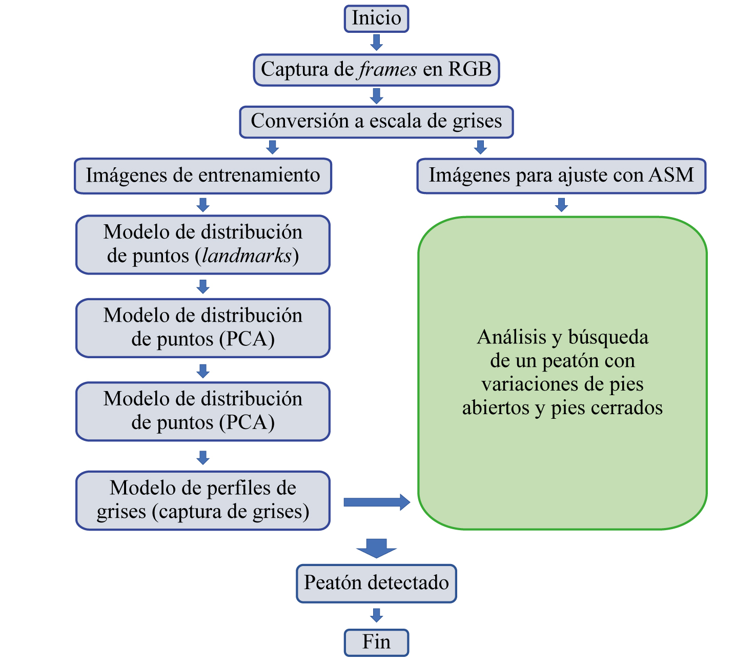 Etapas para la detección de un peatón con variaciones de forma con ASM 