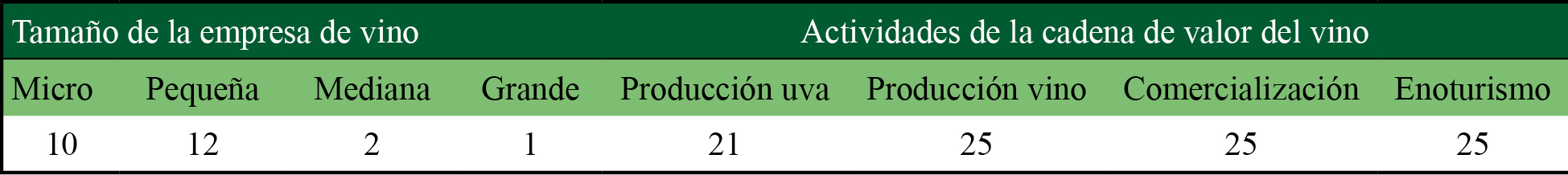 Caracterización de las empresas de vino 