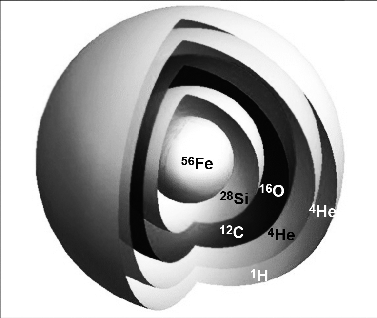 Hypothetical inner structure of a massive star