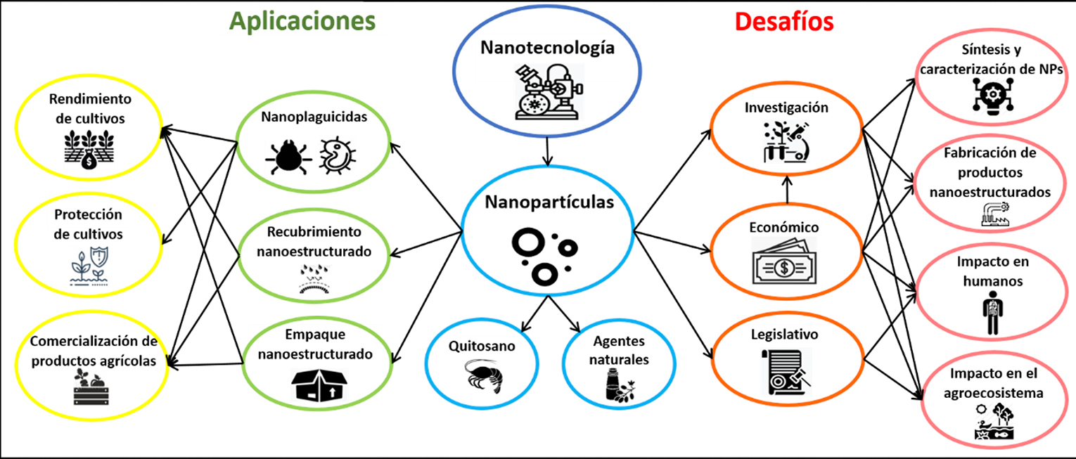 Aplicaciones y desafíos agrícolas asociados en el uso de nanopartículas de quitosano y agentes naturales