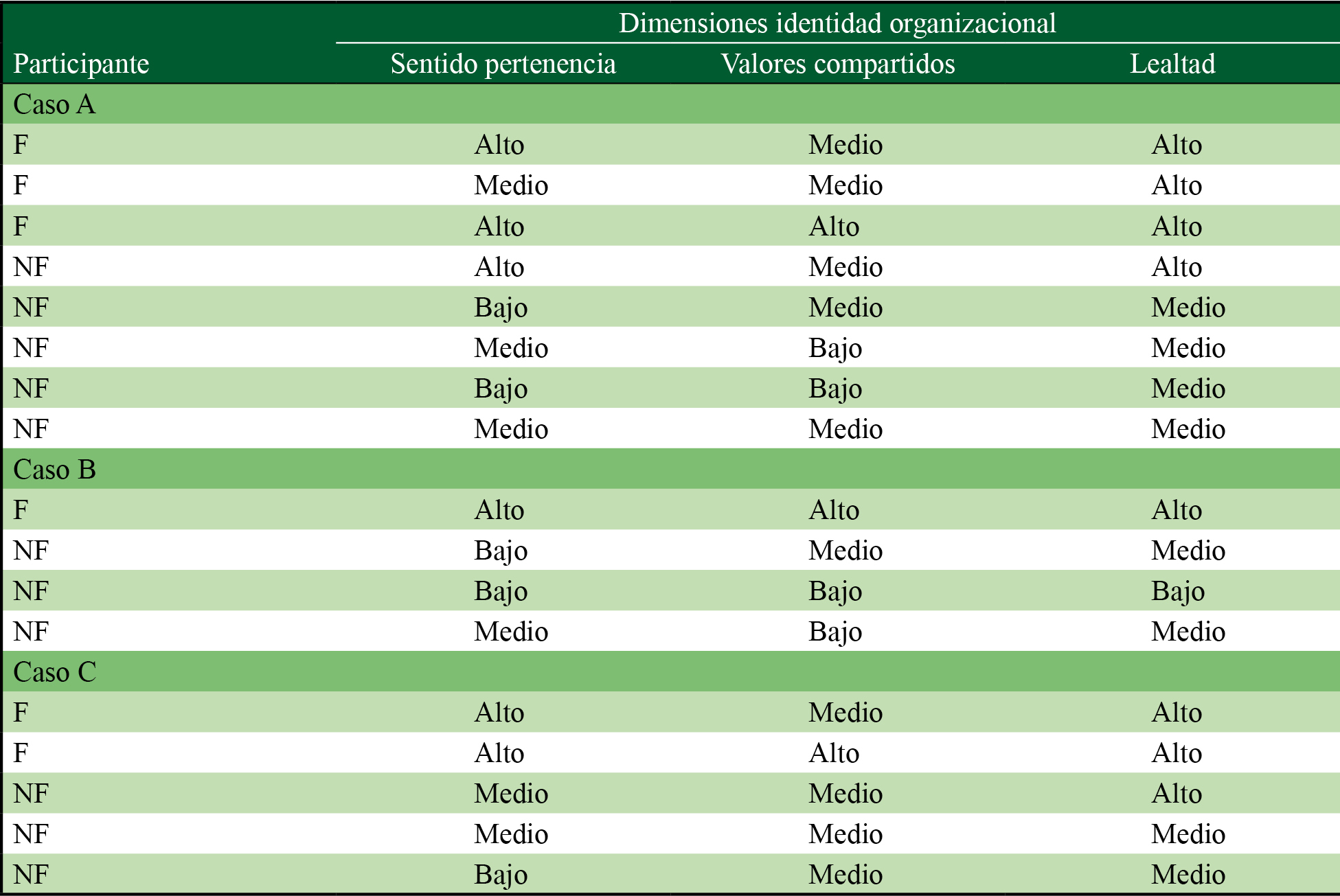 Niveles de identidad organizacional