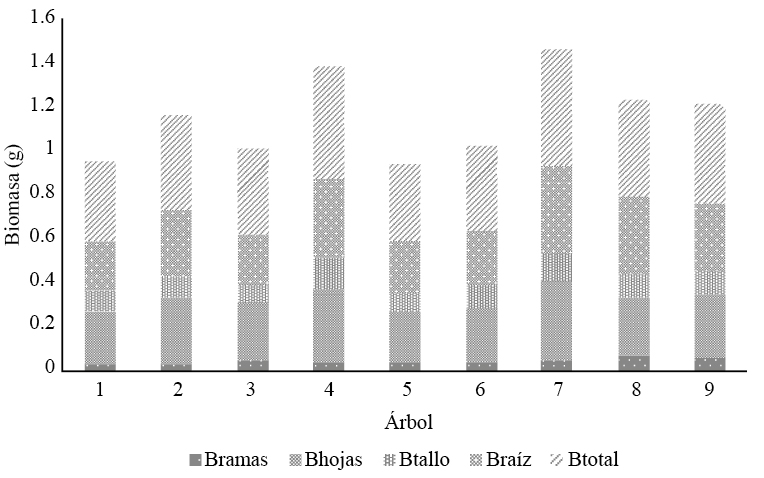 Biomasa (B) por componente en árboles de Leucaena esculenta 