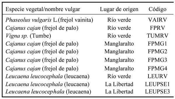 Origen y codificación de los aislados bacterianos