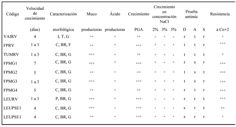 Resultado de las pruebas fenotípicas y bioquímicas