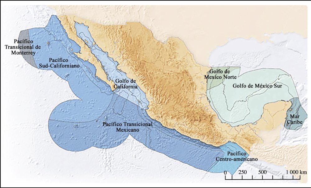 Pacífico
Transicional Mexicano