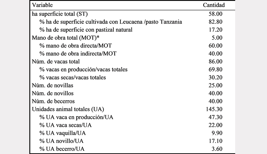 Características estructurales y técnicas de la
UP